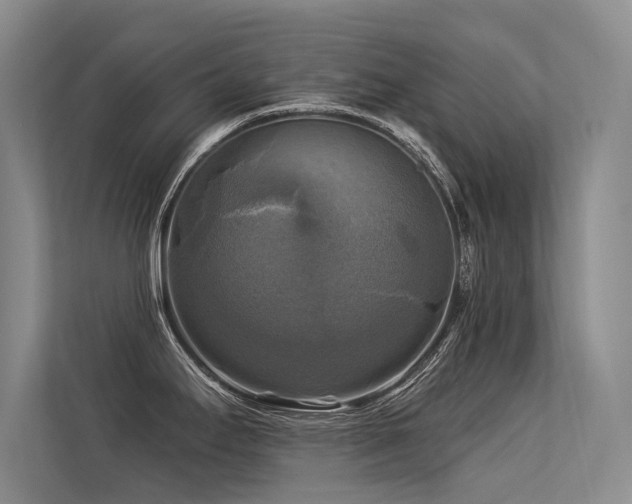 X0000113301295200909141239
