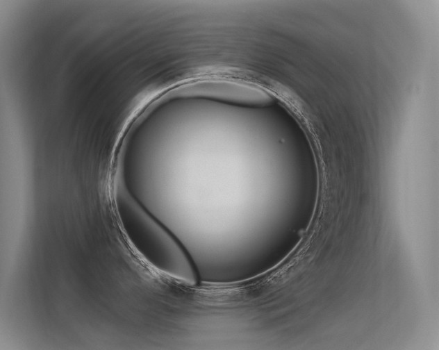 X0000113301296200909141239