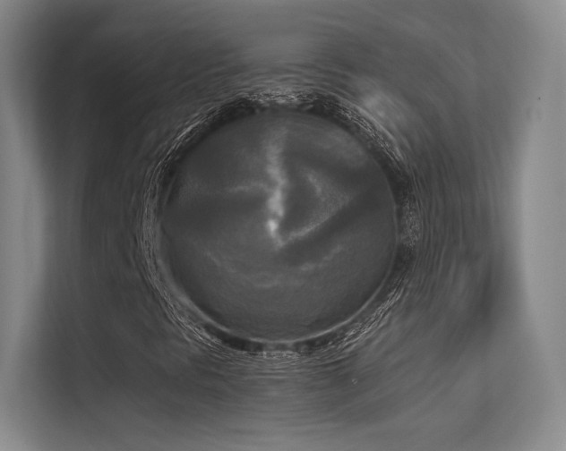 X0000113301297200909141239