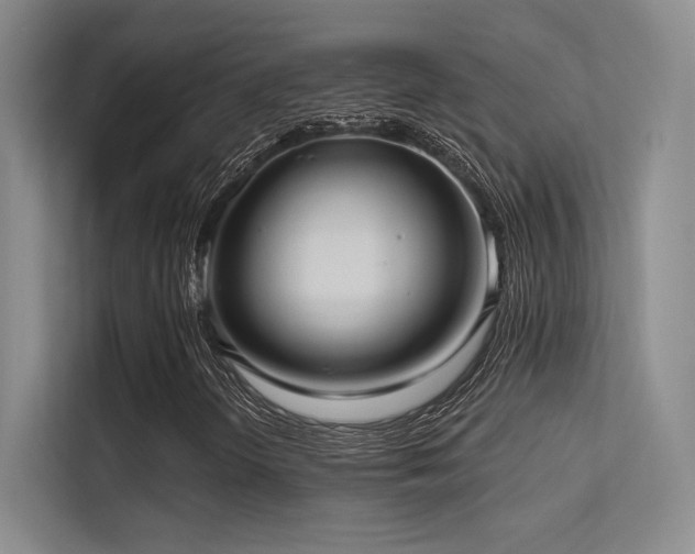 X0000113301298200909141239