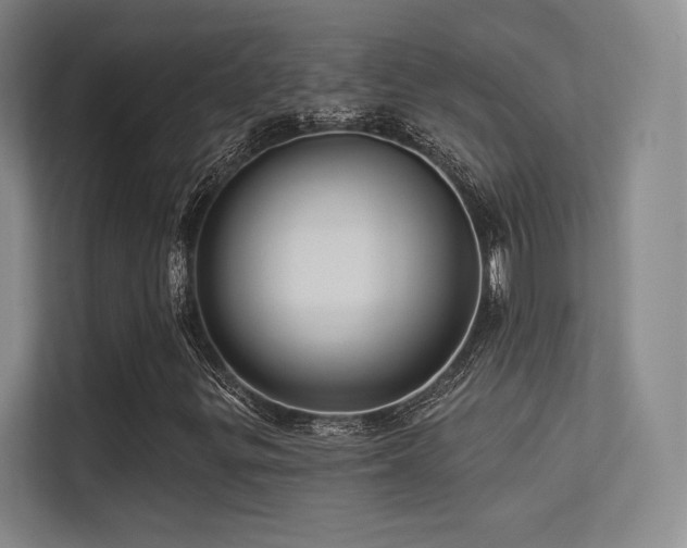 X0000113301299200909141239