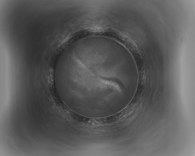 X0000113301301200909141239