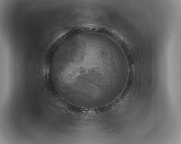 X0000113301302200909141239
