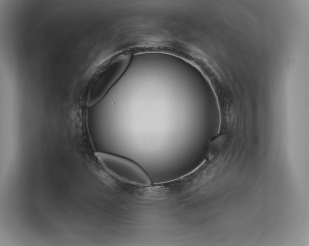 X0000113301304200909141239