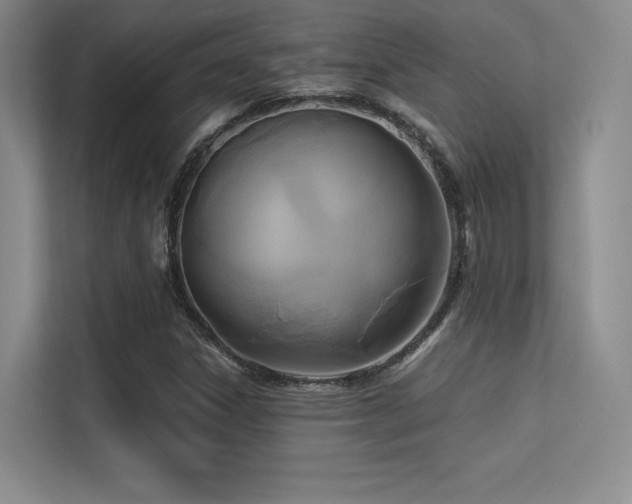 X0000113301306200909141239