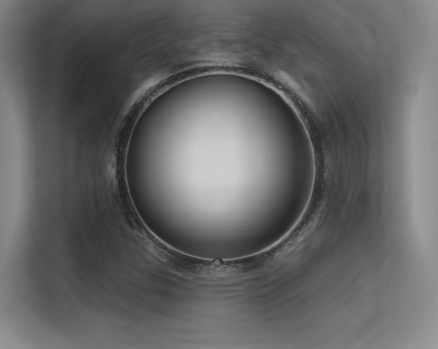 X0000113301307200909141239