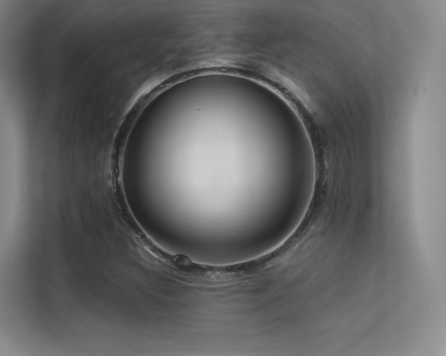 X0000113301308200909141239