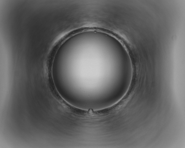 X0000113301311200909141239
