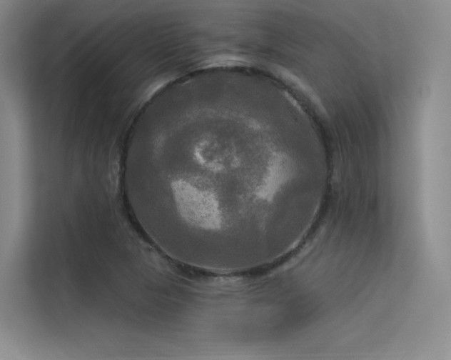 X0000113301313200909141239