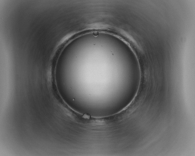 X0000113301315200909141239