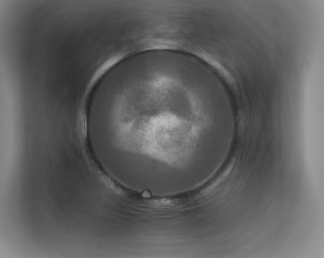 X0000113301317200909141239