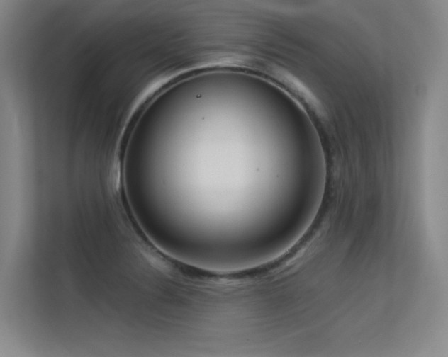 X0000113301324200909141239