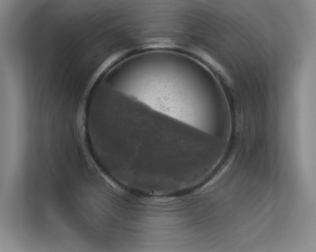 X0000113301325200909141239
