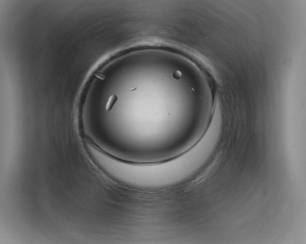 X0000113301326200909141239