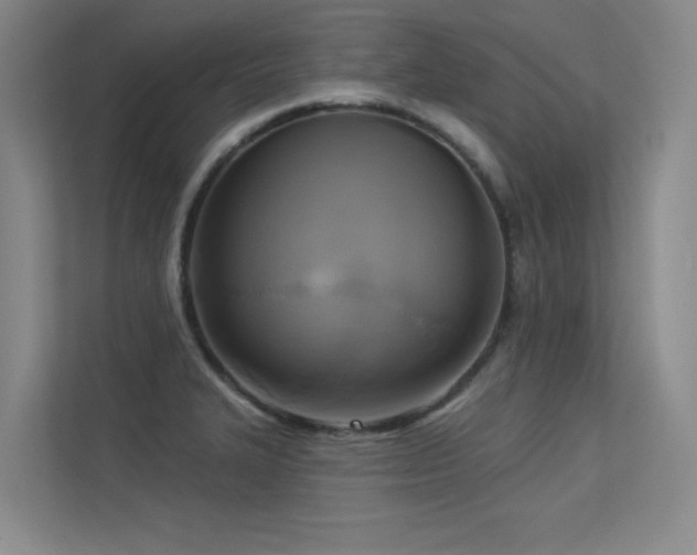 X0000113301327200909141239