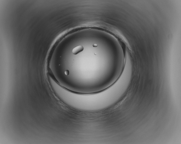 X0000113301328200909141239