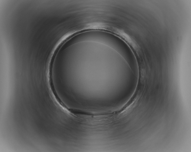 X0000113301331200909141239