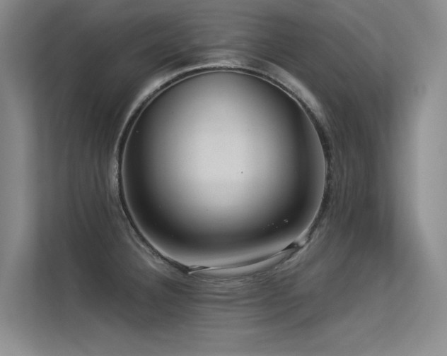 X0000113301332200909141239