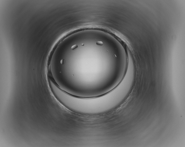 X0000113301334200909141239