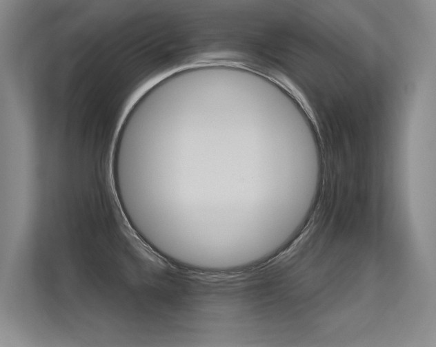 X0000113301336200909141239