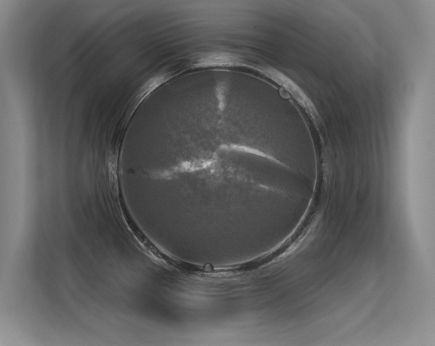 X0000113301337200909141239