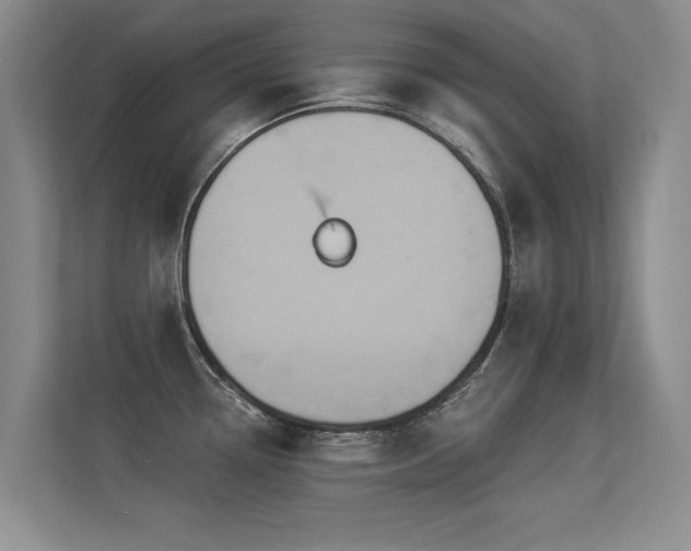 X0000113301338200909141239