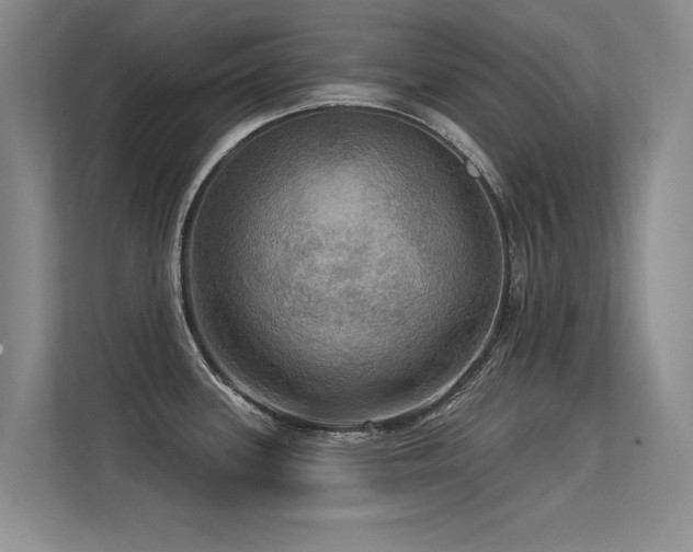 X0000113301339200909141239