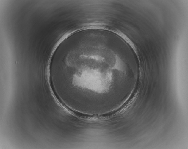 X0000113301341200909141239
