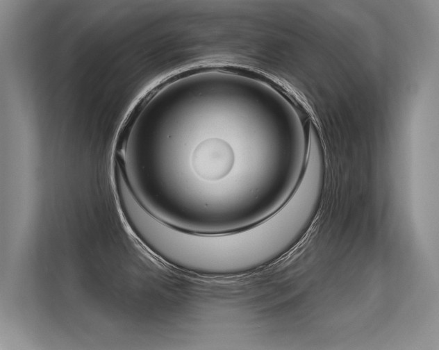 X0000113301342200909141239