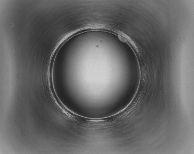 X0000113301343200909141239