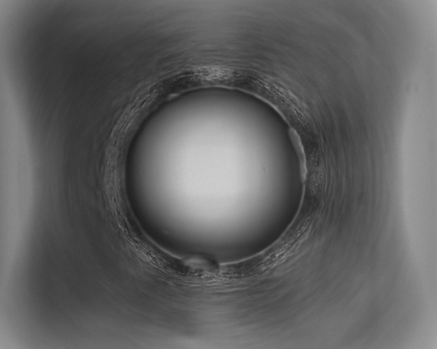 X0000113301345200909141239