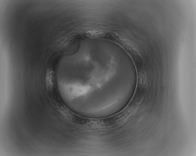 X0000113301346200909141239