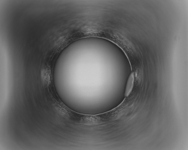 X0000113301348200909141239