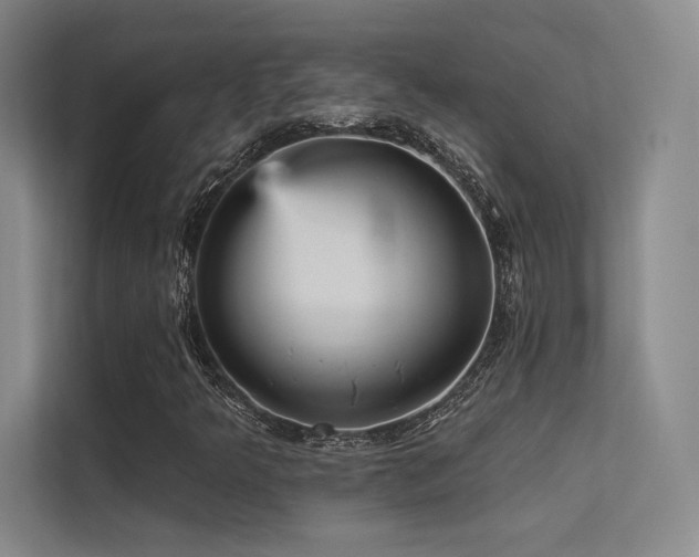 X0000113301349200909141239