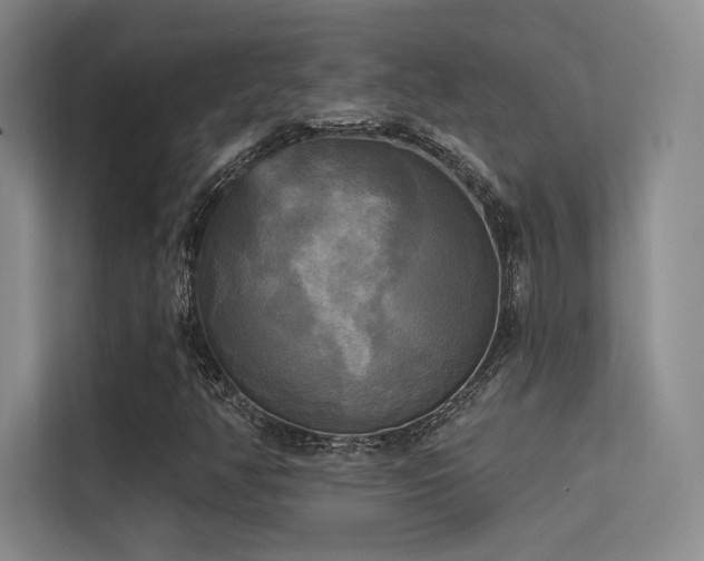X0000113301350200909141239