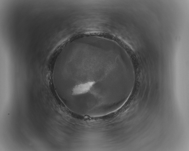 X0000113301351200909141238