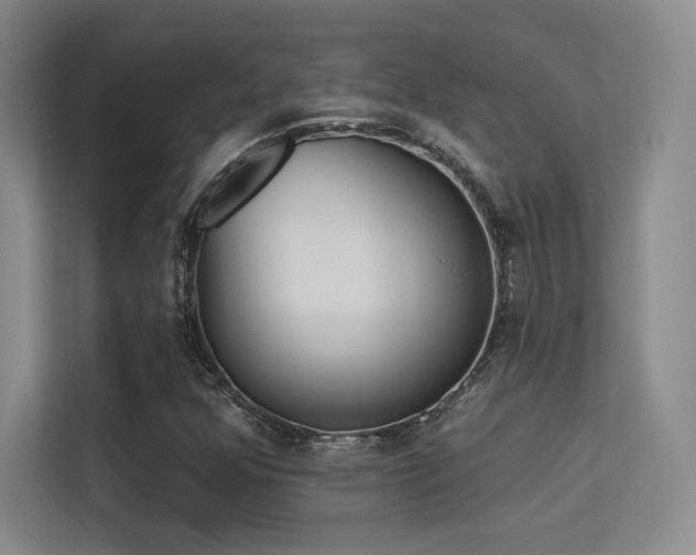 X0000113301352200909141238
