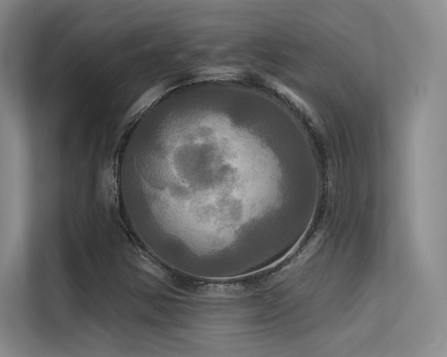 X0000113301354200909141238