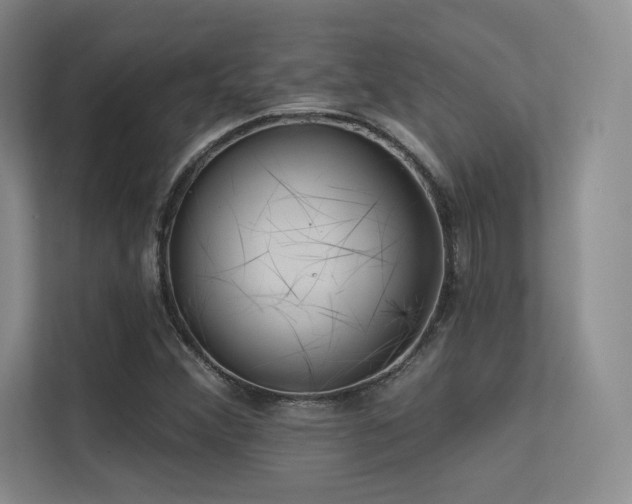 X0000113301356200909141238