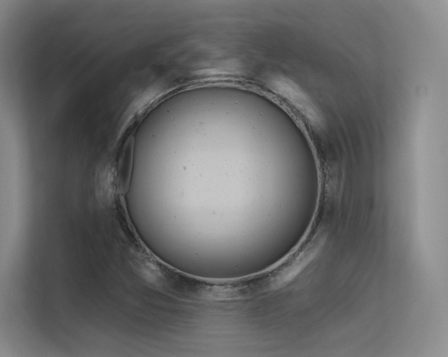 X0000113301357200909141238