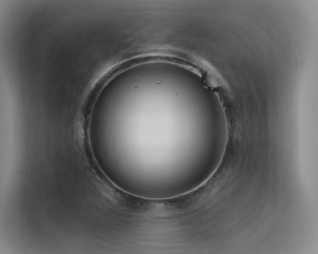 X0000113301360200909141238