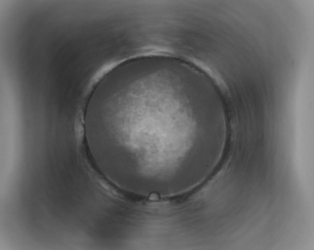 X0000113301363200909141238