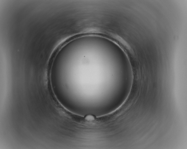 X0000113301364200909141238