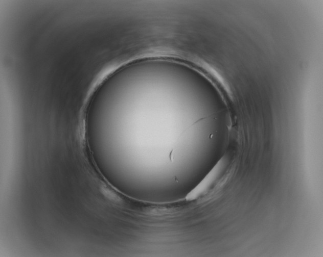 X0000113301366200909141238