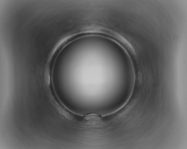 X0000113301368200909141238