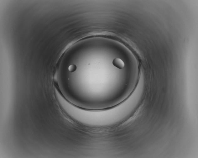 X0000113301369200909141238