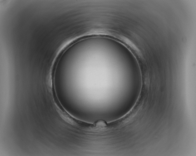 X0000113301372200909141238