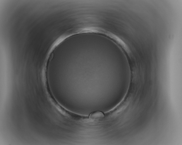 X0000113301373200909141238