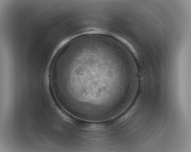 X0000113301375200909141238