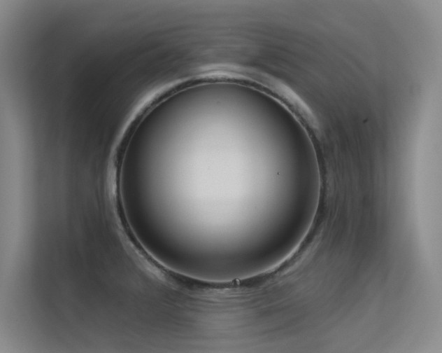 X0000113301376200909141238